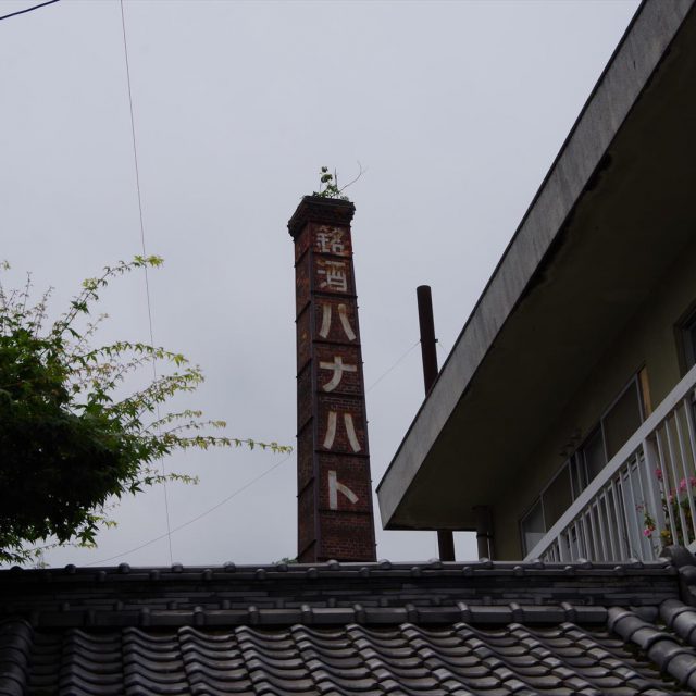 IMGP5044_R